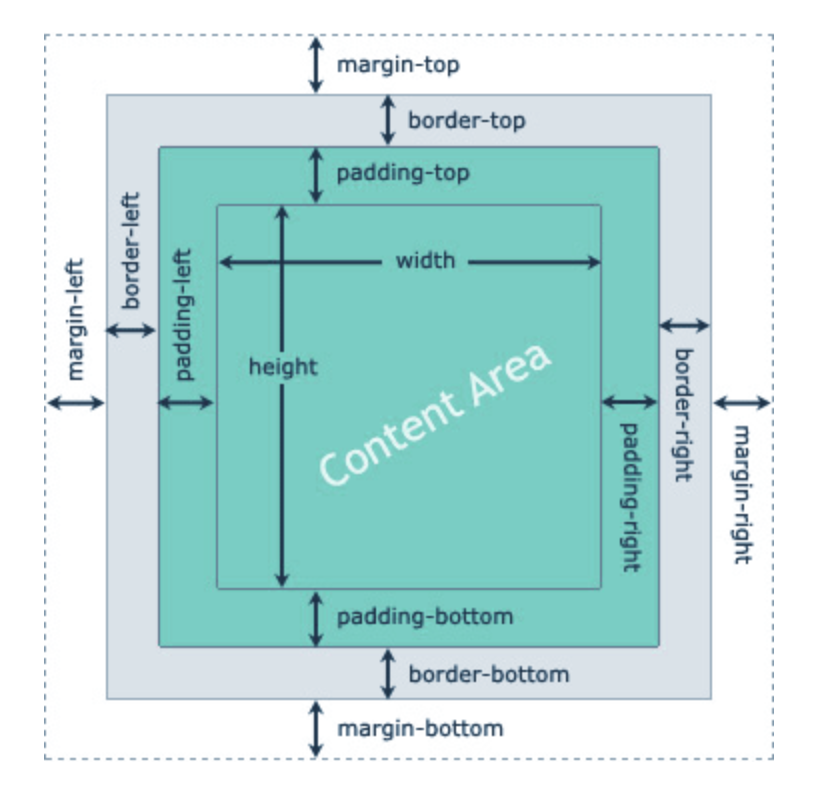 CSS Box Model TutorialWithExample